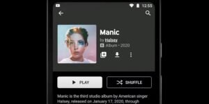 How to download songs and playlists from YouTube Music (Android and iPhone)